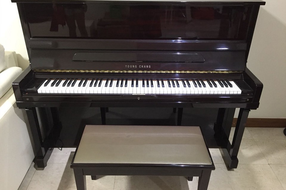 young chang piano age serial number